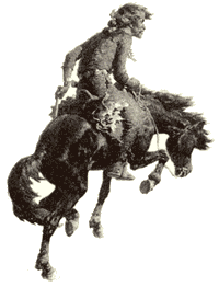 horse.gif (12077 bytes)